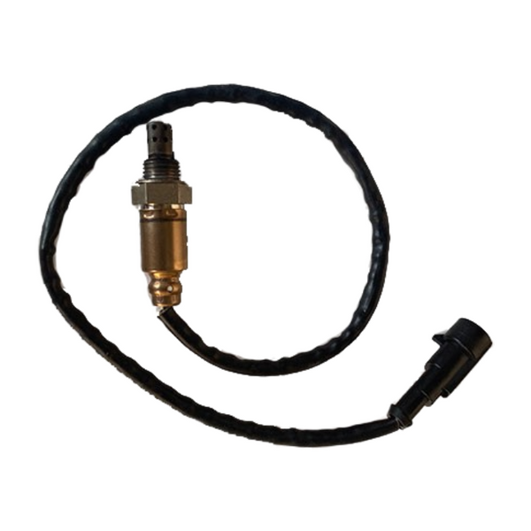 D12000i - Oxygen Sensor (RATO)